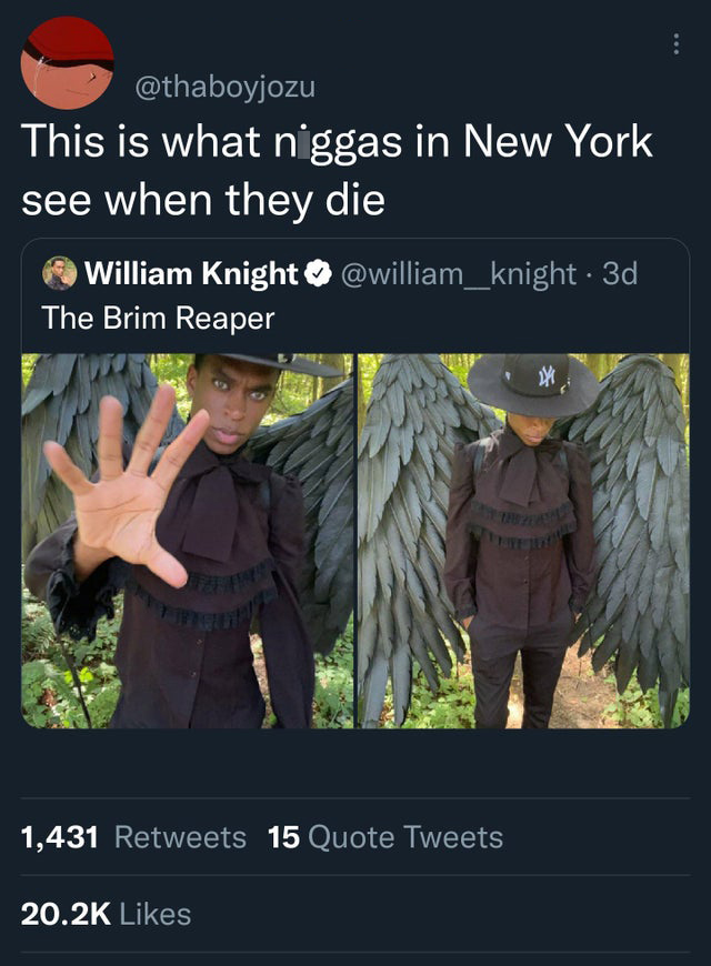 funniest tweets of the week  - photo caption - This is what niggas in New York see when they die William Knight . 3d The Brim Reaper 1,431 15 Quote Tweets