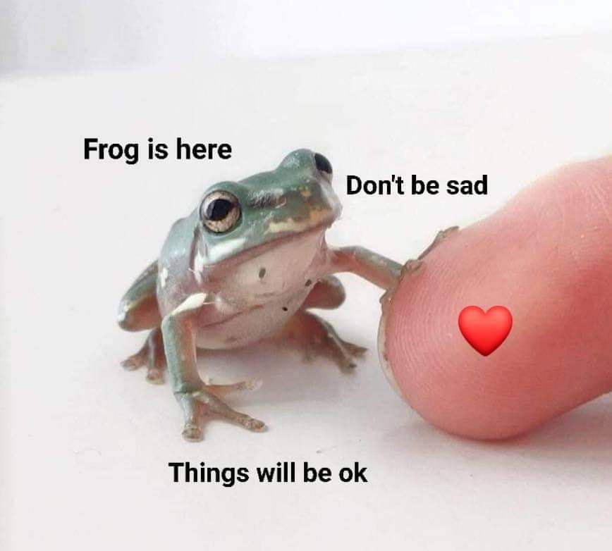 funny memes and pics - frog love meme - Frog is here Don't be sad Things will be ok