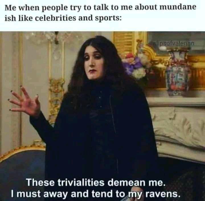 funny memes and pics - must away and tend to my ravens - Me when people try to talk to me about mundane ish celebrities and sports plipsofvalenan These trivialities demean me. I must away and tend to my ravens.