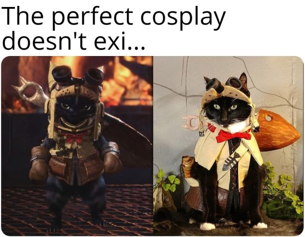 cosplayers doing it right - monster hunter cat meme - The perfect cosplay doesn't exi... It