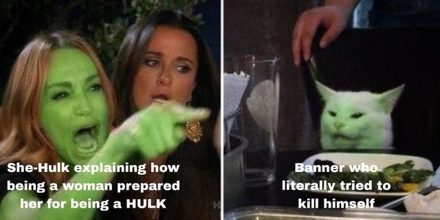 fresh memes - photo caption - SheHulk explaining how being a woman prepared her for being a Hulk Banner who literally tried to kill himself