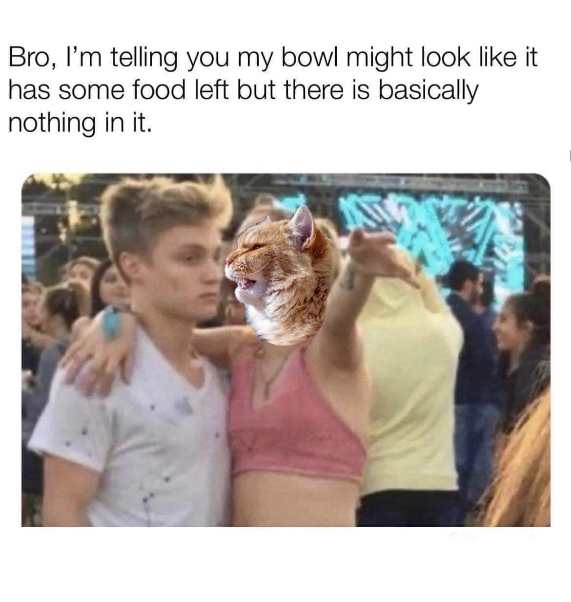 fresh memes - Food - Bro, I'm telling you my bowl might look it has some food left but there is basically nothing in it.