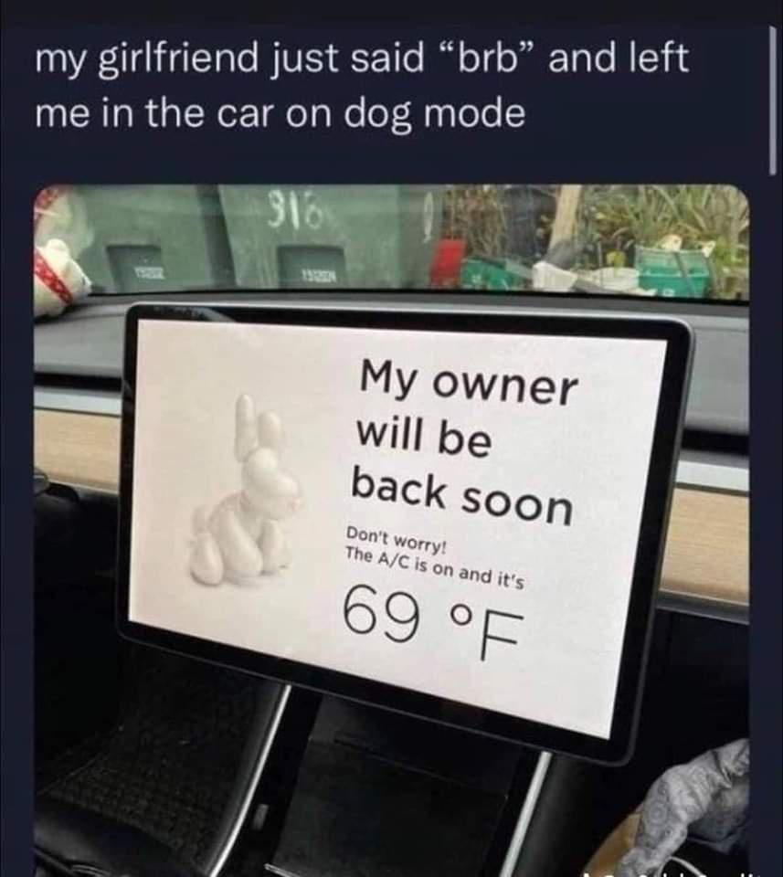 fresh memes - Car - my girlfriend just said "brb" and left me in the car on dog mode 316 My owner will be back soon Don't worry! The AC is on and it's 69 F