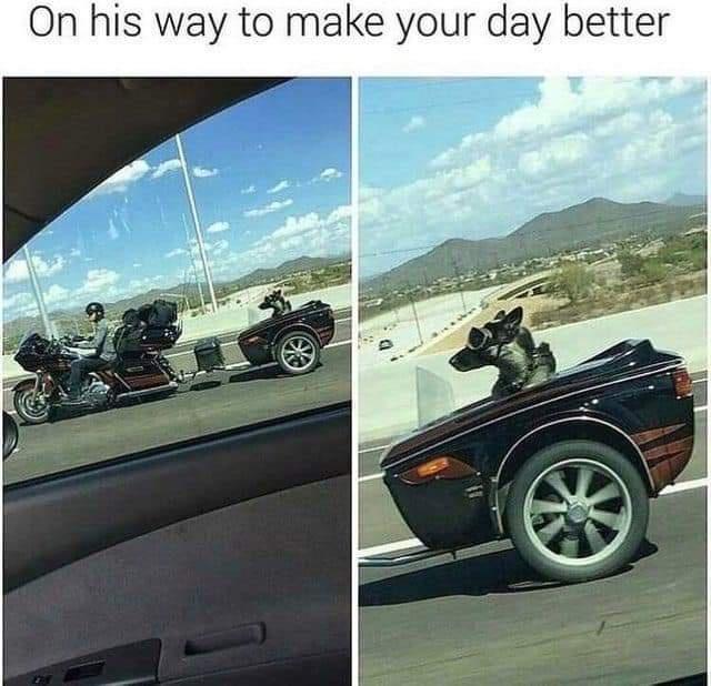 fresh memes - funny - On his way to make your day better