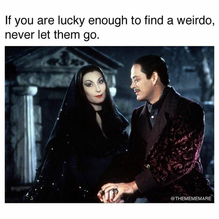 fresh memes - morticia addams - If you are lucky enough to find a weirdo, never let them go.