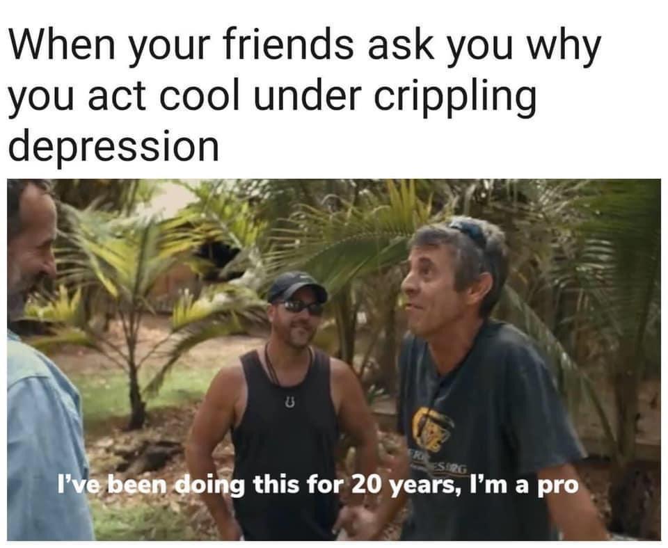 fresh memes - tree - When your friends ask you why you act cool under crippling depression Toma Esirg I've been doing this for 20 years, I'm a pro K