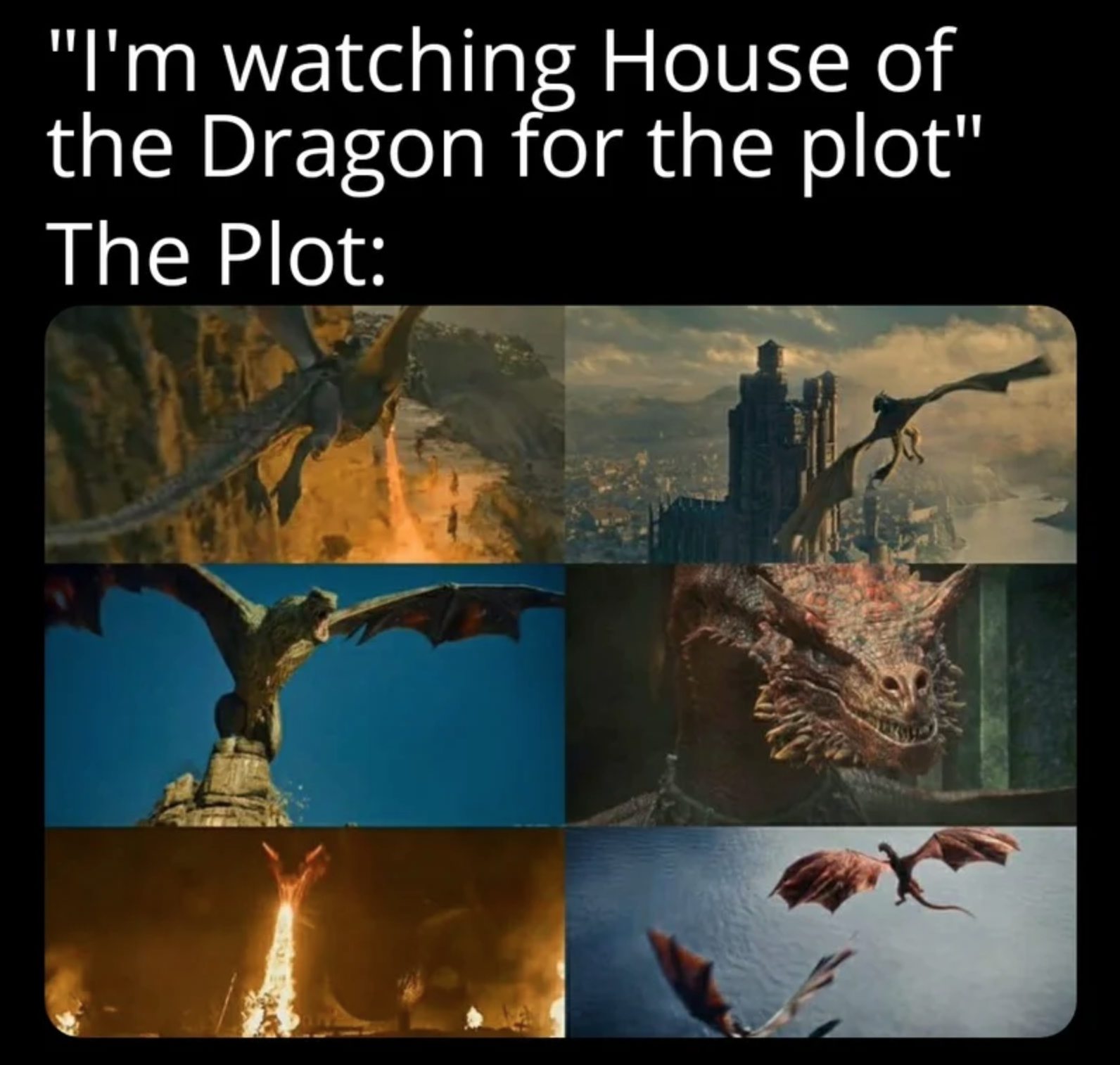 House of the Dragon - "I'm watching House of the Dragon for the plot" The Plot