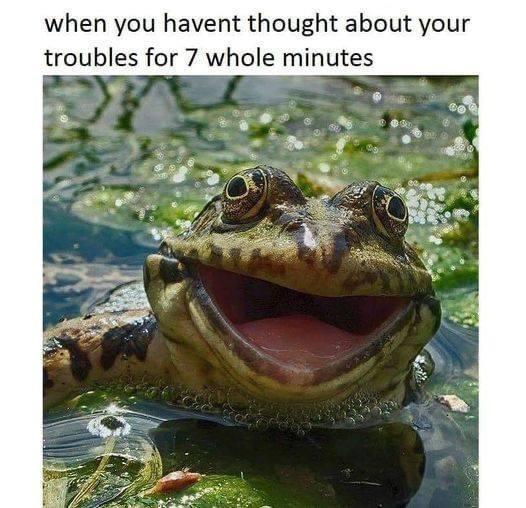 31 Fresh Pics And Memes For The Exquisite Minds