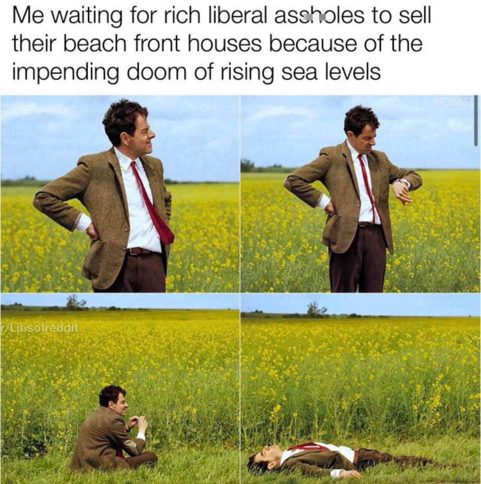 funny and fresh tweets - no nut november stuck step sis meme - Me waiting for rich liberal assholes to sell their beach front houses because of the impending doom of rising sea levels Libsofreddit