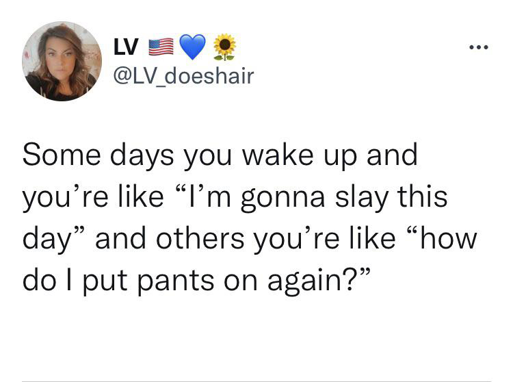 funny and fresh tweets - organization - Lv Some days you wake up and you're "I'm gonna slay this day" and others you're "how do I put pants on again?"