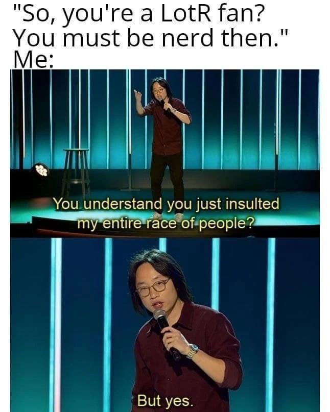 funny memes - you just insulted my entire race but yes comedian - "So, you're a LotR fan? You must be nerd then." Me You understand you just insulted my entire race of people? | But yes.