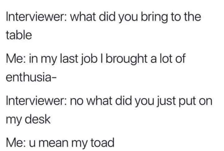 funny memes - Interviewer what did you bring to the table Me in my last job I brought a lot of enthusia Interviewer no what did you just put on my desk Me u mean my toad