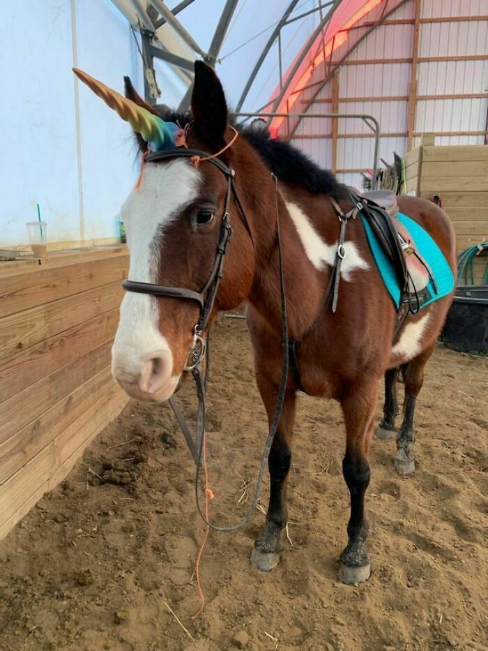 Awesome Things You Won't Believe Are 3D Printed