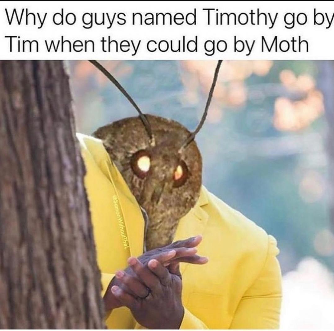 dank memes - timothy moth meme - Why do guys named Timothy go by Tim when they could go by Moth Samon Withou