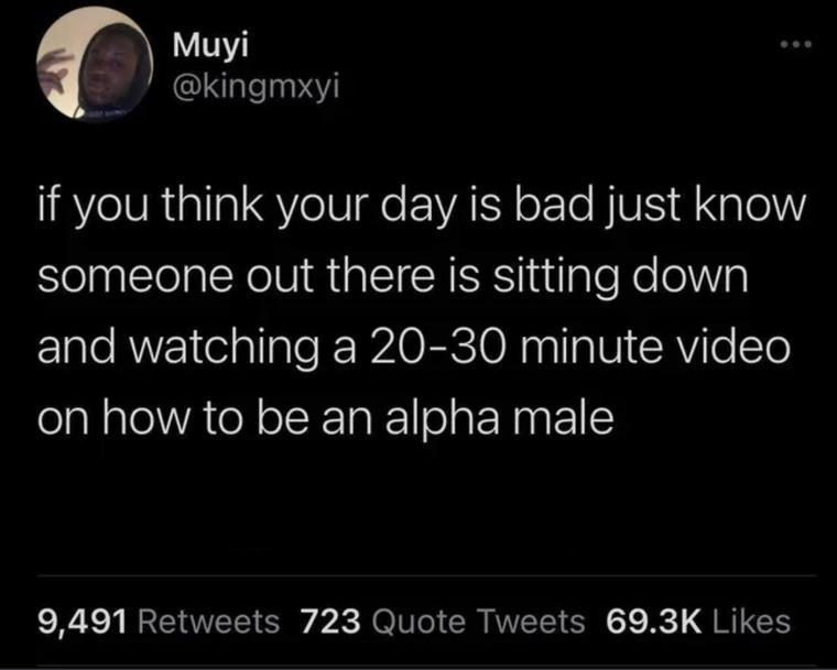 dank memes - atmosphere - Muyi if you think your day is bad just know someone out there is sitting down and watching a 2030 minute video on how to be an alpha male 9,491 723 Quote Tweets