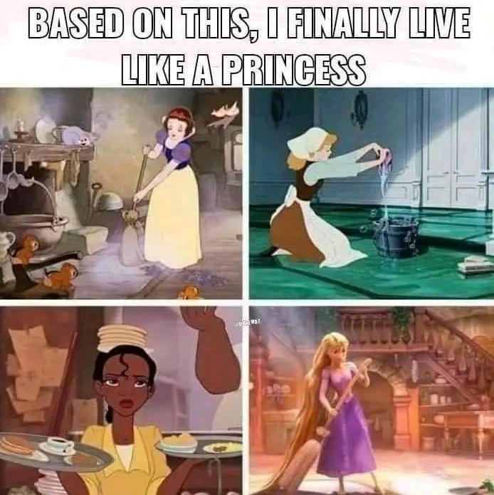 dank memes - Based On This, I Finally Live A Princess Nothmot 77777 F