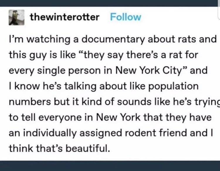 dank memes - handwriting - thewinterotter I'm watching a documentary about rats and this guy is "they say there's a rat for every single person in New York City" and I know he's talking about population numbers but it kind of sounds he's trying to tell ev