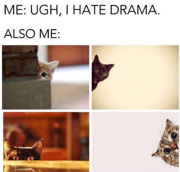 dank memes - fauna - Me Ugh, I Hate Drama. Also Me