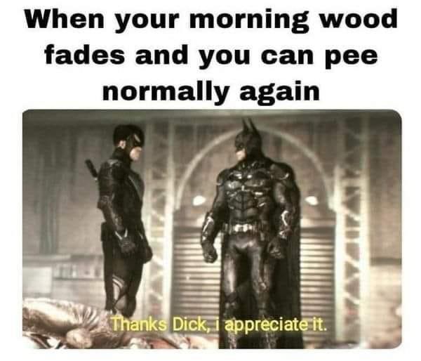 dank memes - girl quotes about guys - When your morning wood fades and you can pee normally again Thanks Dick, appreciate it.