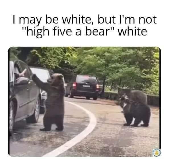 dank memes - fauna - I may be white, but I'm not "high five a bear" white