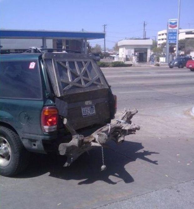 29 WTF Cars That Will Take You Far