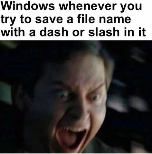 Gaming memes - photo caption - Windows whenever you try to save a file name with a dash or slash in it