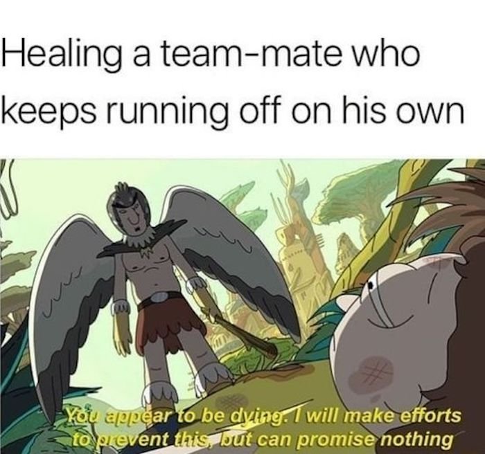 Gaming memes - rick and morty bird person - Healing a teammate who keeps running off on his own You appear to be dying. I will make efforts to prevent this, but can promise nothing