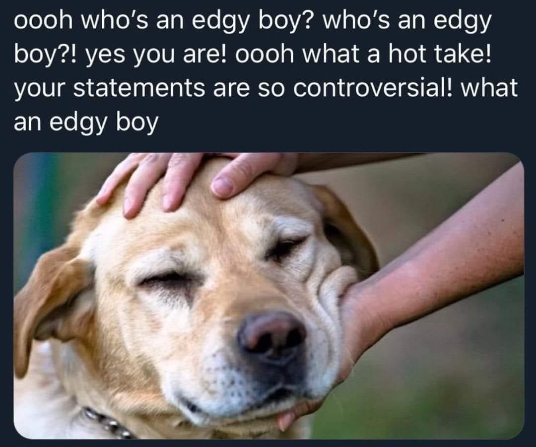 dank  memes - who's an edgy boy - oooh who's an edgy boy? who's an edgy boy?! yes you are! oooh what a hot take! your statements are so controversial! what an edgy boy