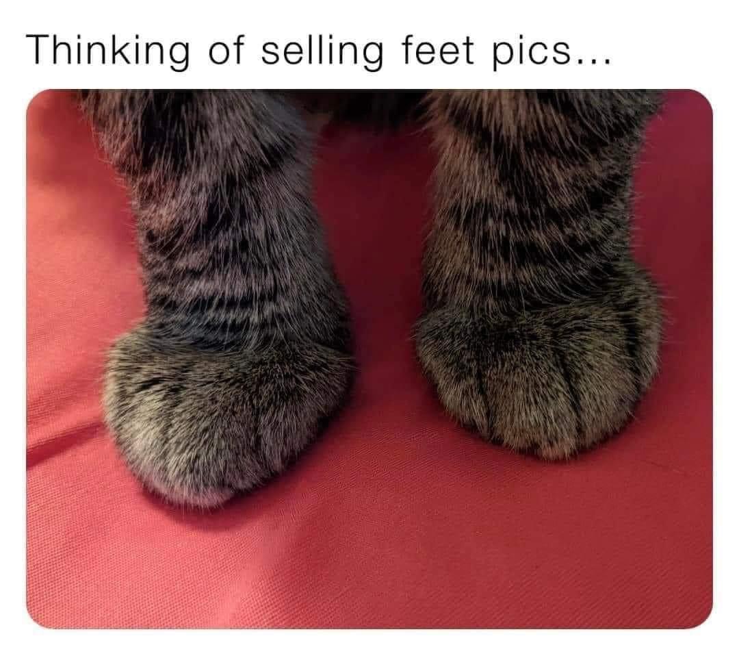 dank  memes - fur - Thinking of selling feet pics...