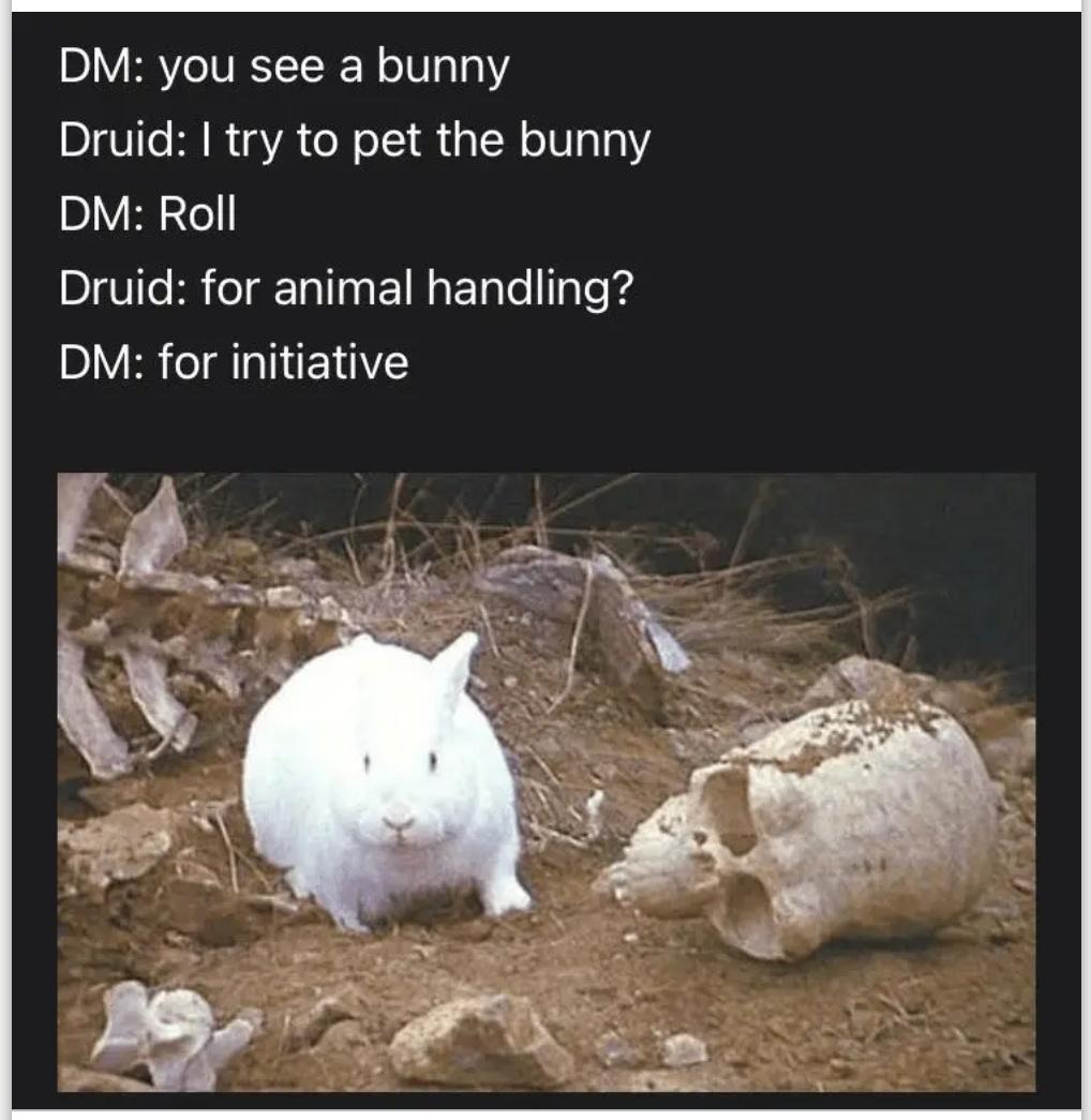 dank  memes - fauna - Dm you see a bunny Druid I try to pet the bunny Dm Roll Druid for animal handling? Dm for initiative