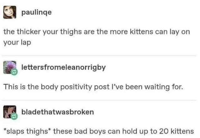 dank  memes - body positivity memes - paulinqe the thicker your thighs are the more kittens can lay on your lap letters fromeleanorrigby This is the body positivity post I've been waiting for. bladethatwasbroken slaps thighs these bad boys can hold up to 