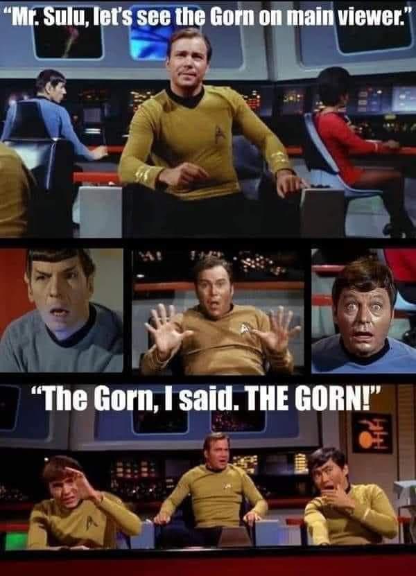 dank  memes - captain kirk - "Mr. Sulu, let's see the Gorn on main viewer." "The Gorn. I said. The Gorn!"