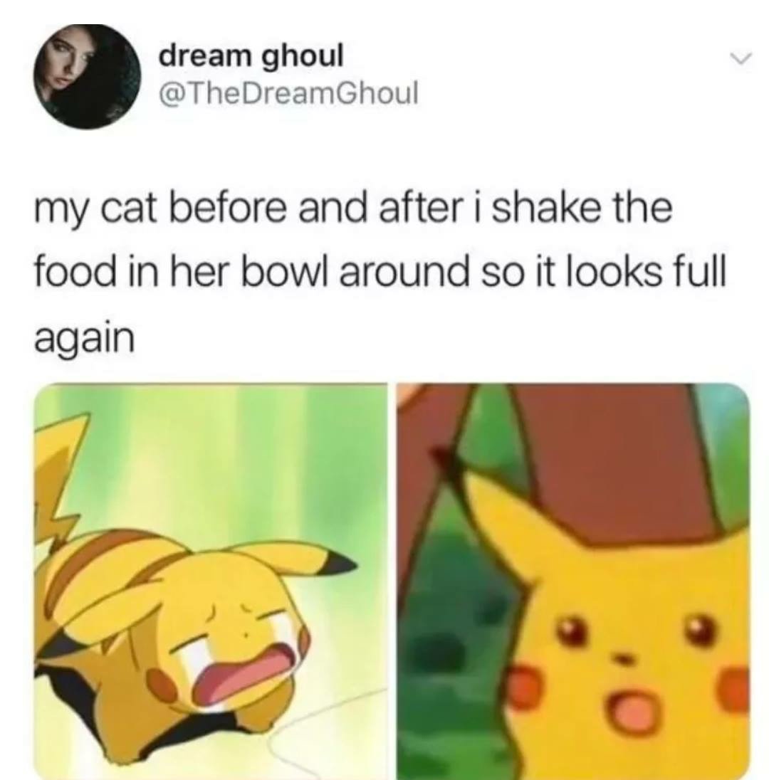 savage tweets - cartoon - dream ghoul my cat before and after i shake the food in her bowl around so it looks full again