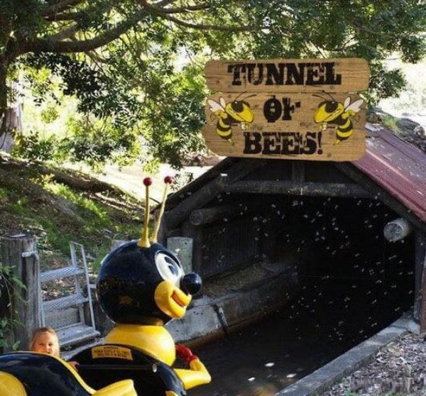 wtf wednesday pics - tunnel of bees - Tunnel Of Bees!