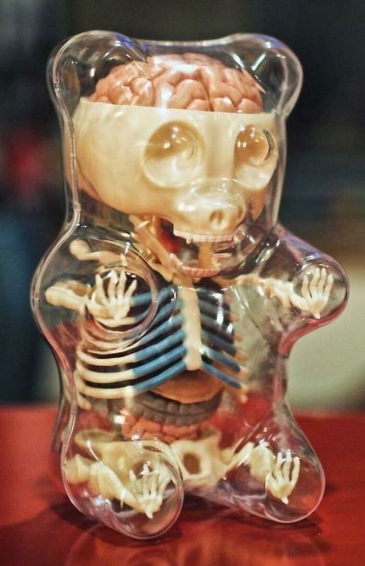 wtf wednesday pics - gummy bear skeleton