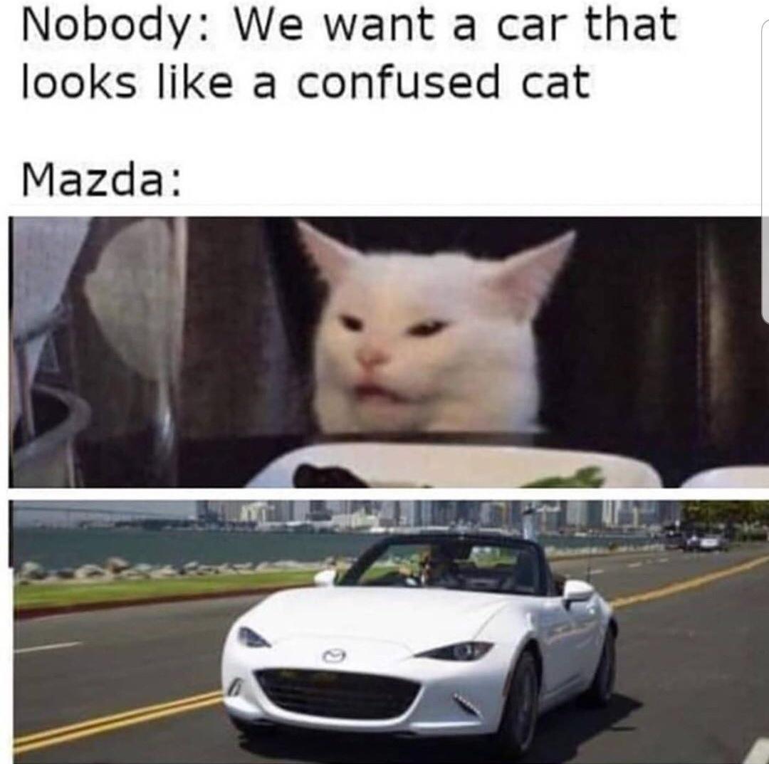 cat and car meme - Nobody We want a car that looks a confused cat Mazda