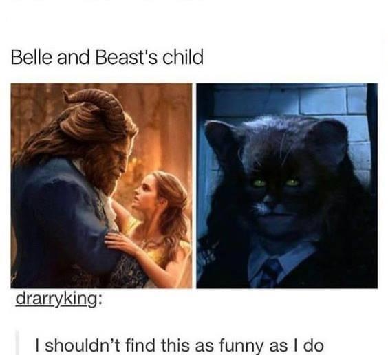 belle and beast child meme - Belle and Beast's child drarryking I shouldn't find this as funny as I do