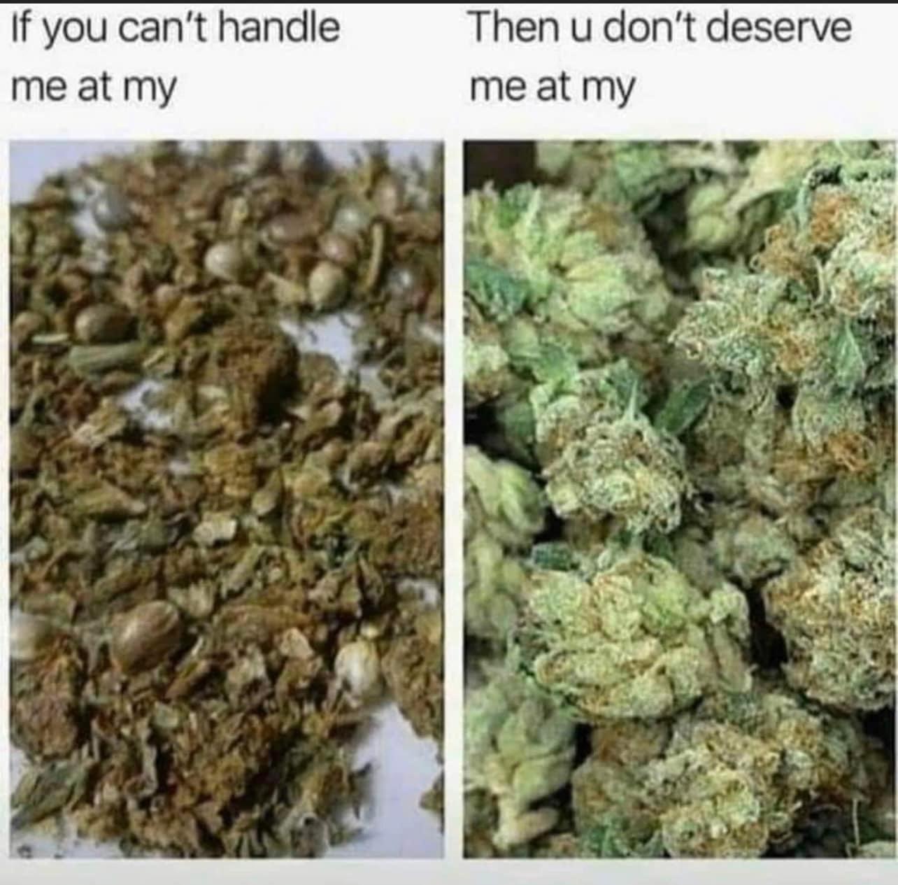 monday morning randomness - indica weed buds - If you can't handle me at my Then u don't deserve me at my