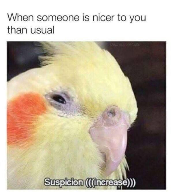 relatable memes about birds - When someone is nicer to you than usual Depression Posts Suspicion increase