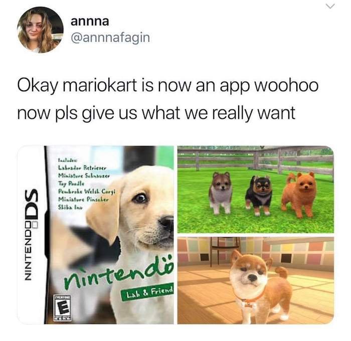 Gaming memes - Okay mariokart is now an app woohoo now pls give us what we really want Nintendo annna Includes Labrador Retriever Miniature