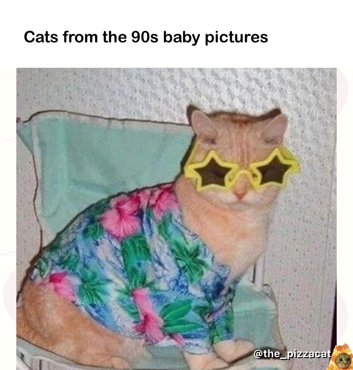 dank memes - cat - Cats from the 90s baby pictures