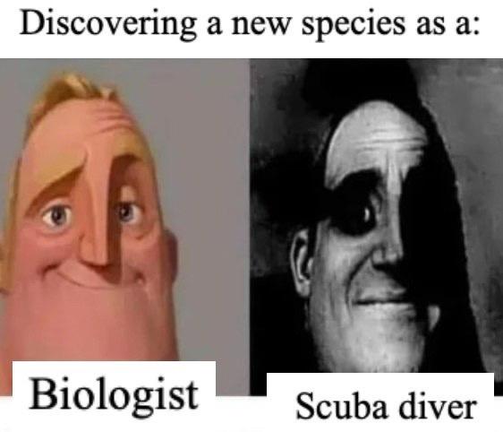 dank memes - head - Discovering a new species as a Biologist Scuba diver
