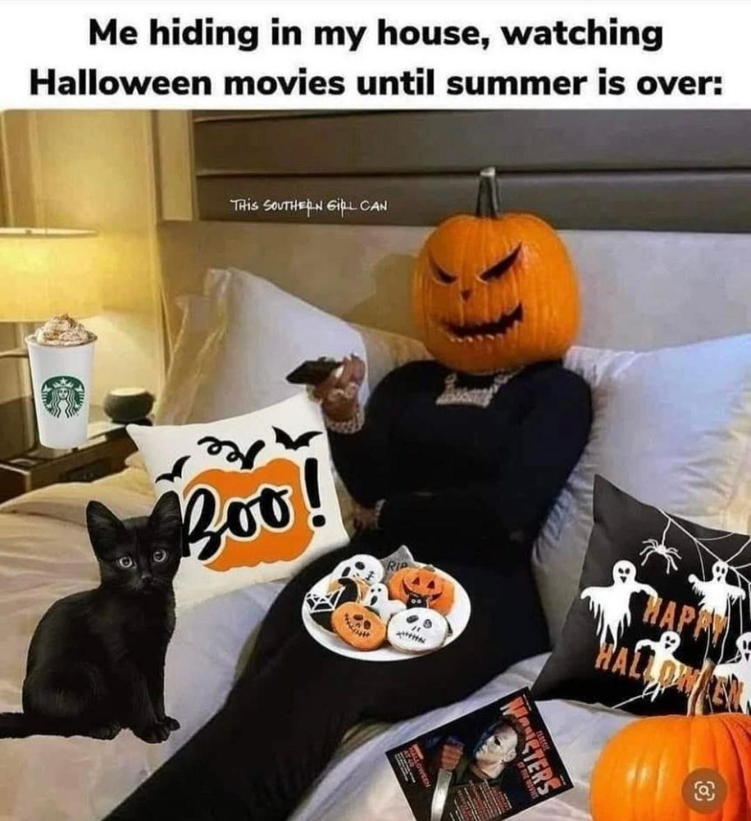 dank memes - megan thee stallion pumpkin - Me hiding in my house, watching Halloween movies until summer is over This Southern Gill Can Boo! South Rip Happy Hallow O