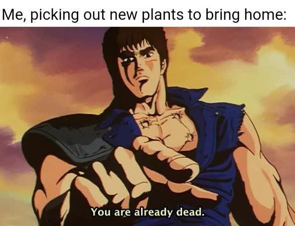 dank memes - kimi wa mou shindeiru - Me, picking out new plants to bring home You are already dead.