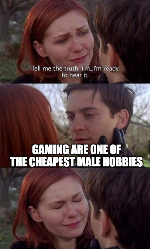 asset inventory meme - Tell me the truth...I'm...I'm ready to hear it. Gaming Are One Of The Cheapest Male Hobbies