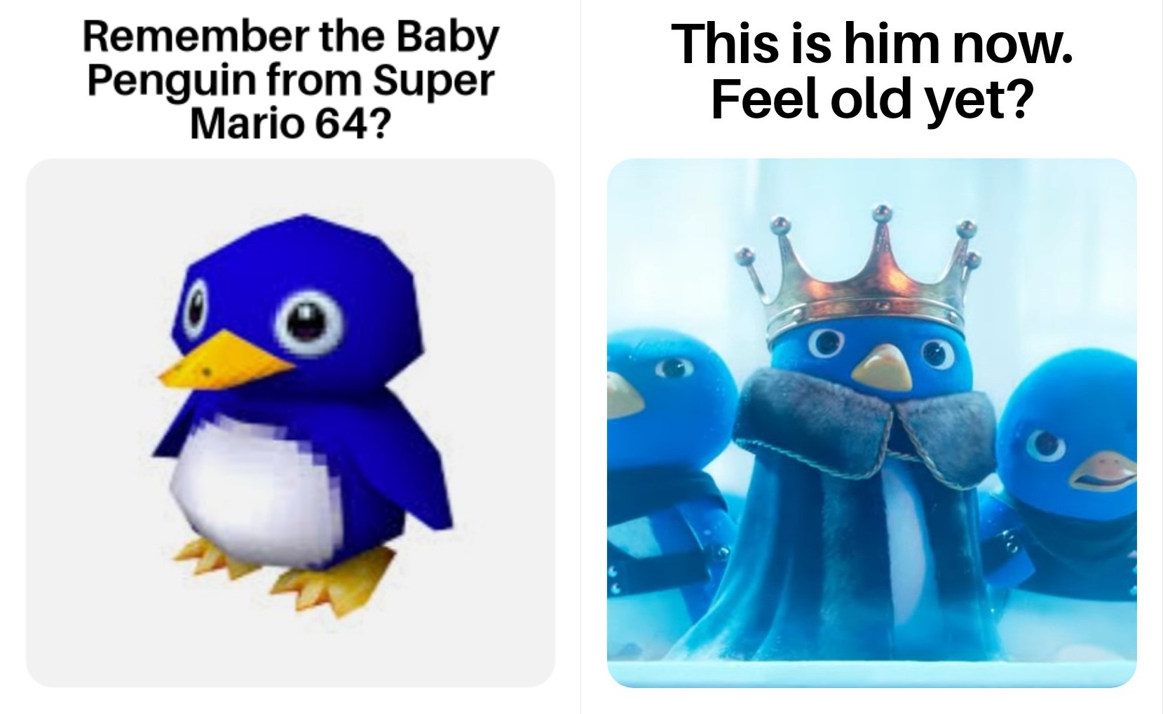 Internet meme - Remember the Baby Penguin from Super Mario 64? This is him now. Feel old yet?