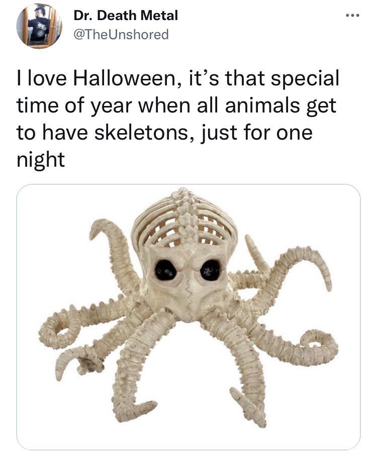 daily dose of pics and memes - octopus halloween decoration - Dr. Death Metal I love Halloween, it's that special time of year when all animals get to have skeletons, just for one night ...