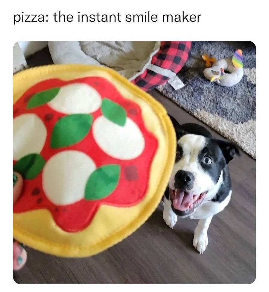 daily dose of pics and memes - dog - pizza the instant smile maker