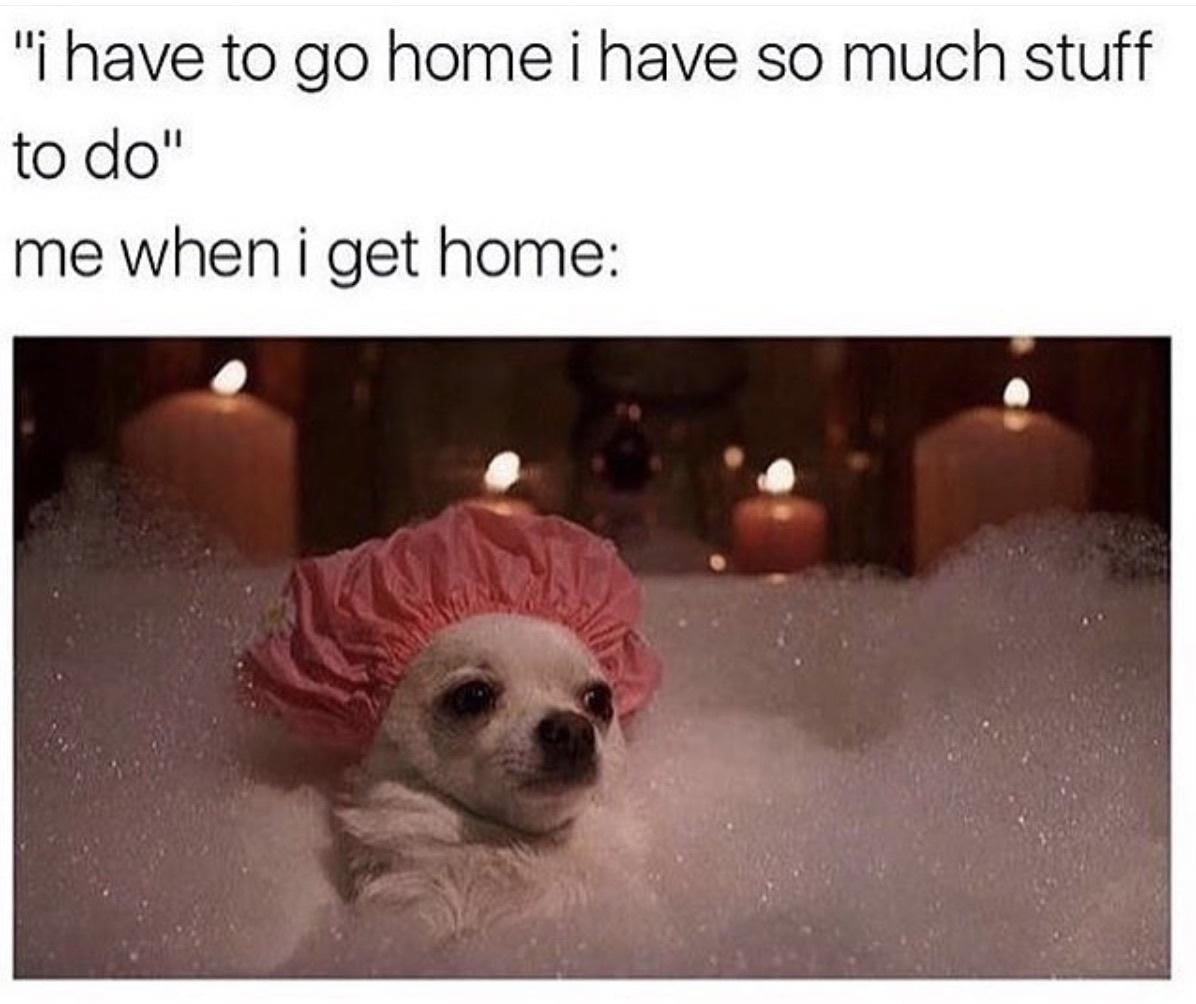 funny memes and pics - bathtub meme - "i have to go home i have so much stuff to do" me when i get home