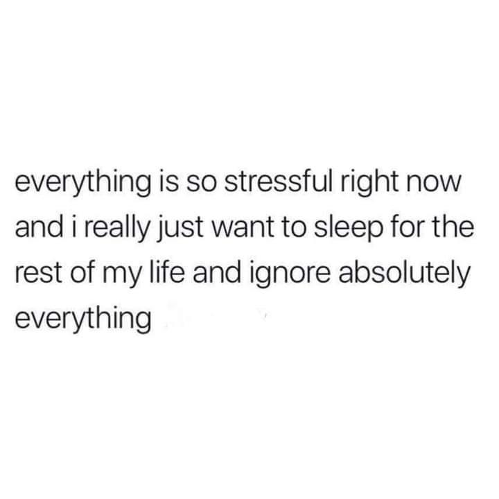 funny memes and pics - cancer sun scorpio moon virgo rising - everything is so stressful right now and i really just want to sleep for the rest of my life and ignore absolutely everything